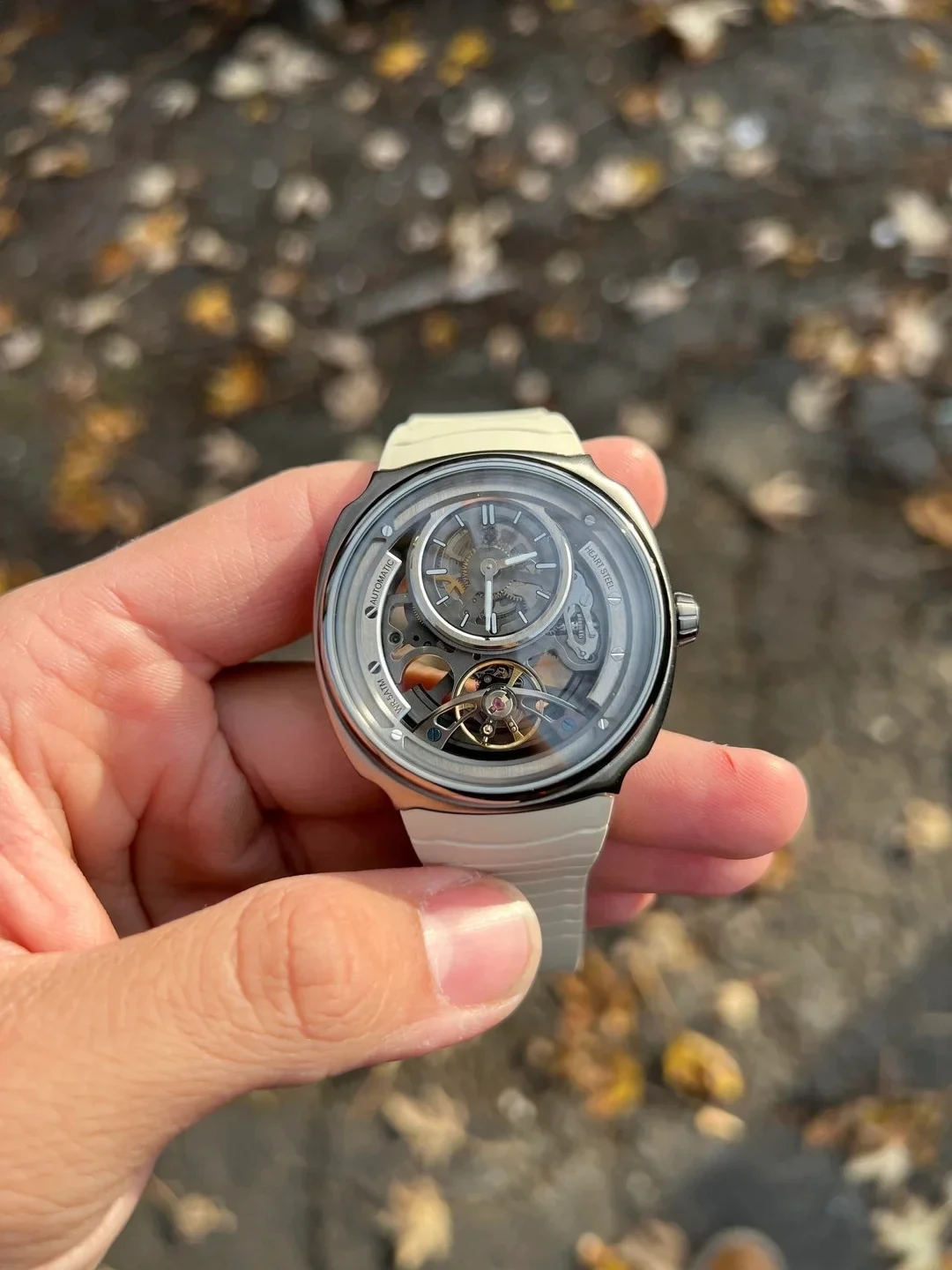 Limited Offer DG8127 Stainless - đánh giá và giá Luxury Watch Offers